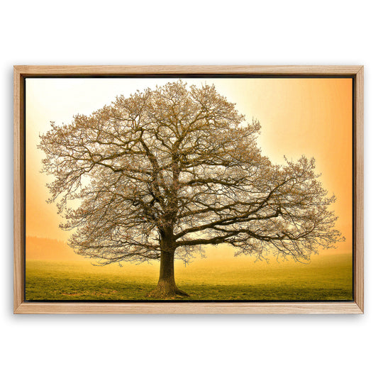 Save 33% When You Add A Frame To Your 18x12 Golden Oak Tree Wall Art Canvas Now