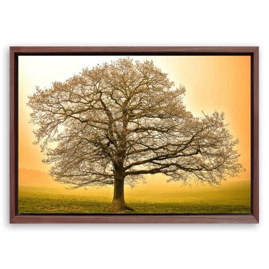 Save 33% When You Add A Frame To Your 24x16 Golden Oak Tree Wall Art Canvas Now