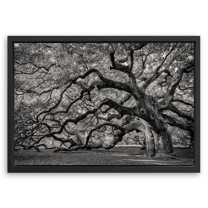 Save 33% When You Add A Frame To Your 18x12 Monochrome Angel Oak Tree Wall Art Canvas Now
