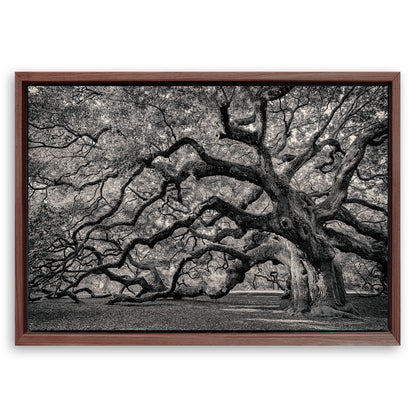 Save 33% When You Add A Frame To Your 18x12 Monochrome Angel Oak Tree Wall Art Canvas Now