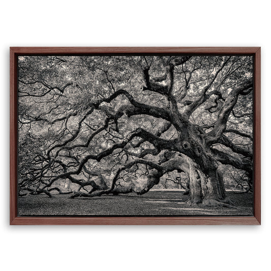 Save 33% When You Add A Frame To Your 18x12 Monochrome Angel Oak Tree Wall Art Canvas Now