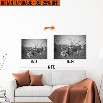 Upgrade Your 12x18 Inches 'Monochrome Texas Longhorn Cattle' Canvas to 16x24 Inches