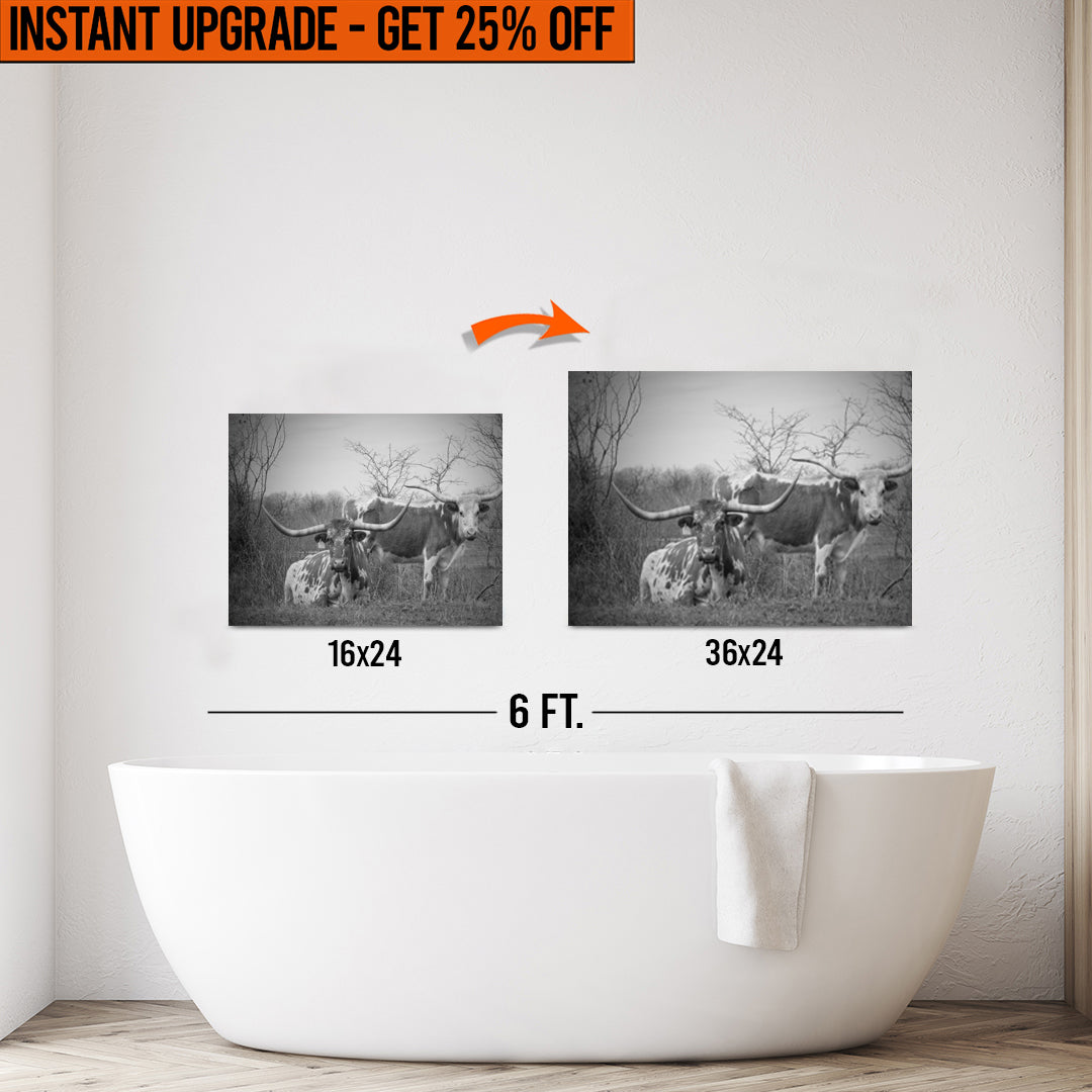 Upgrade Your 24x16 Inches 'Monochrome Texas Longhorn Cattle' Canvas To 36x24 Inches