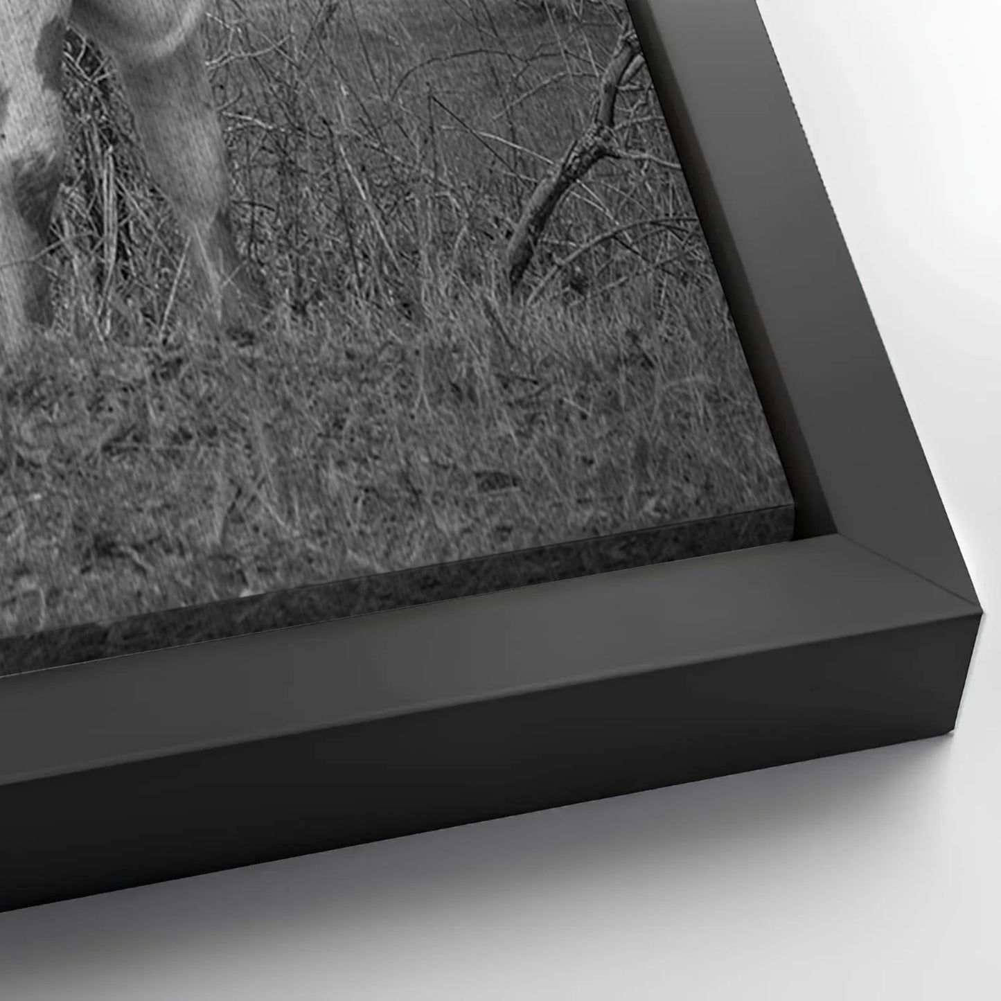 Save 33% When You Add A Frame To Your 24x16 Monochrome Texas Longhorn Cattle Canvas Wall Art Canvas Now