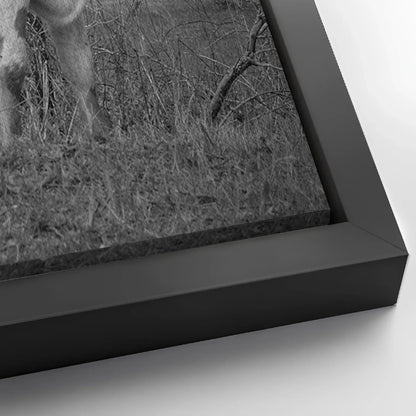 Save 33% When You Add A Frame To Your 24x16 Monochrome Texas Longhorn Cattle Canvas Wall Art Canvas Now