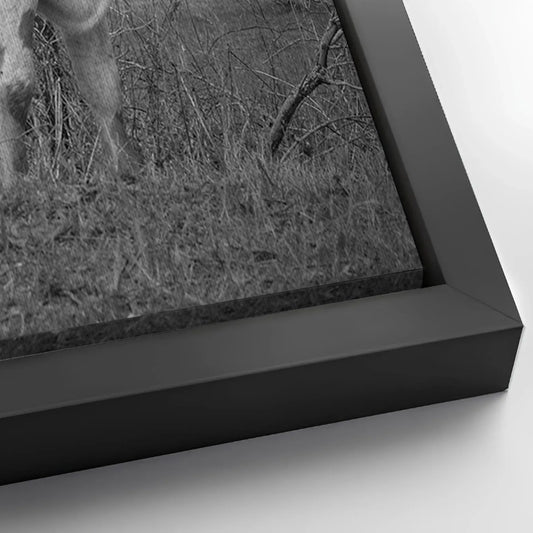 Save 33% When You Add A Frame To Your 24x16 Monochrome Texas Longhorn Cattle Canvas Wall Art Canvas Now