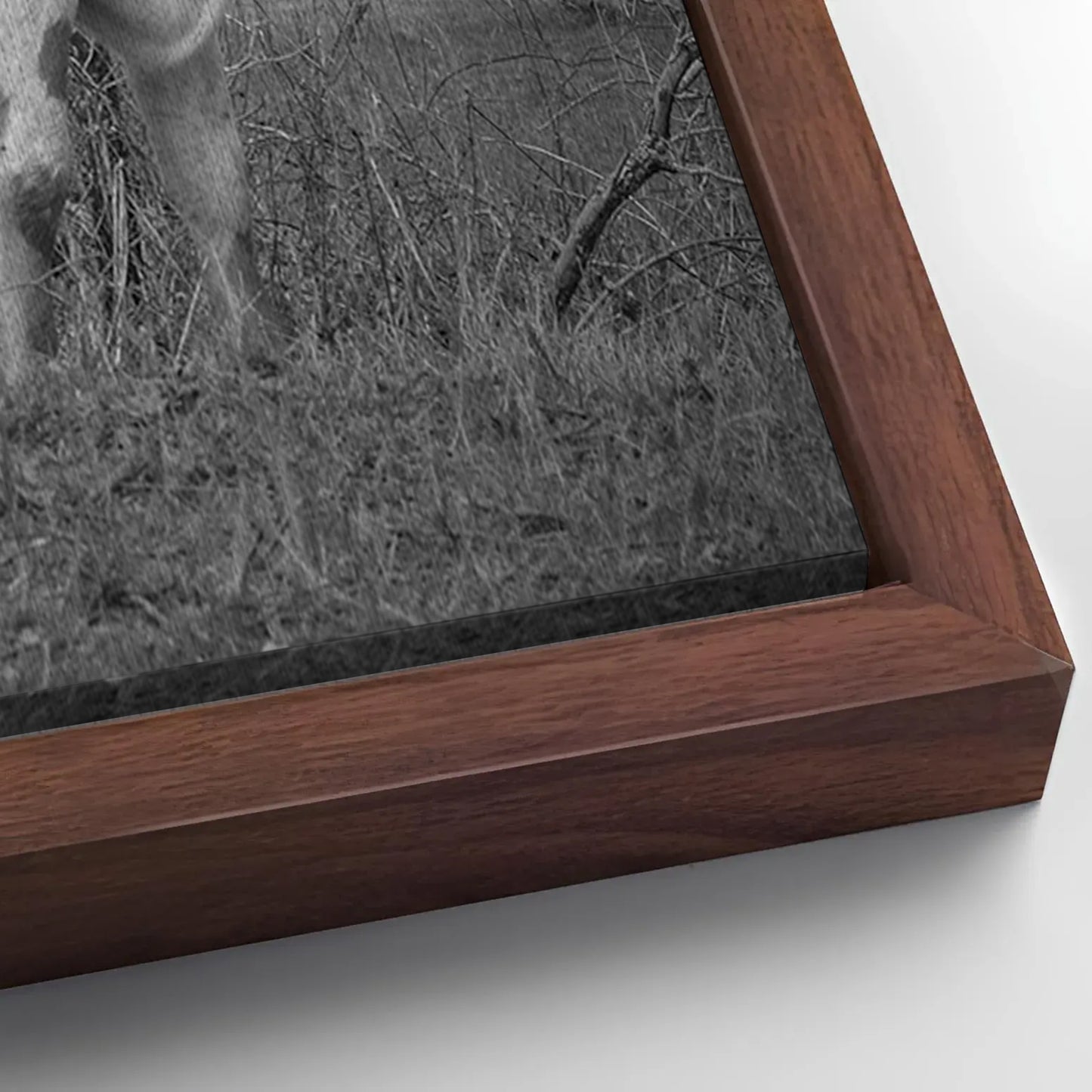 Save 33% When You Add A Frame To Your 24x16 Monochrome Texas Longhorn Cattle Canvas Wall Art Canvas Now