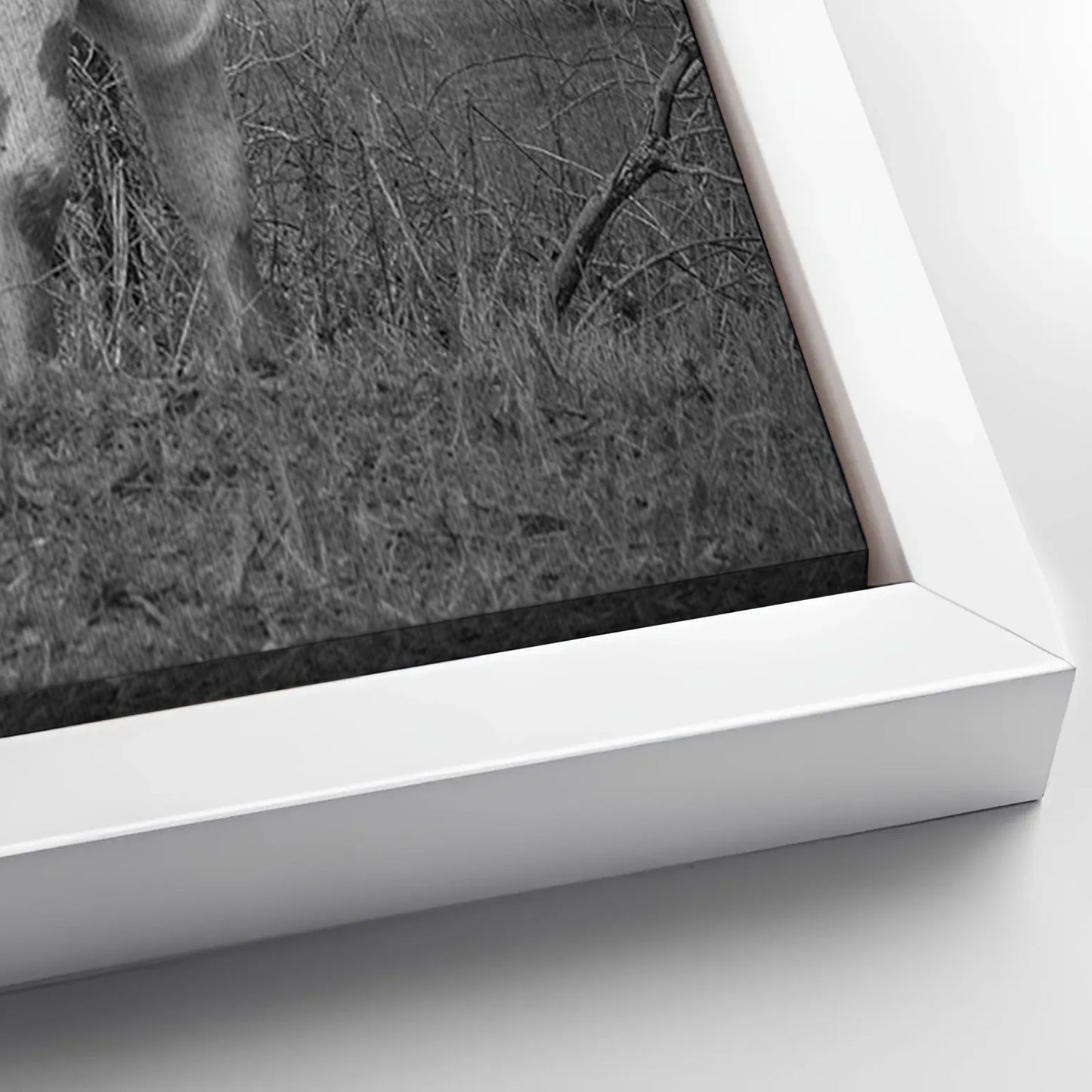 Save 33% When You Add A Frame To Your 24x16 Monochrome Texas Longhorn Cattle Canvas Wall Art Canvas Now