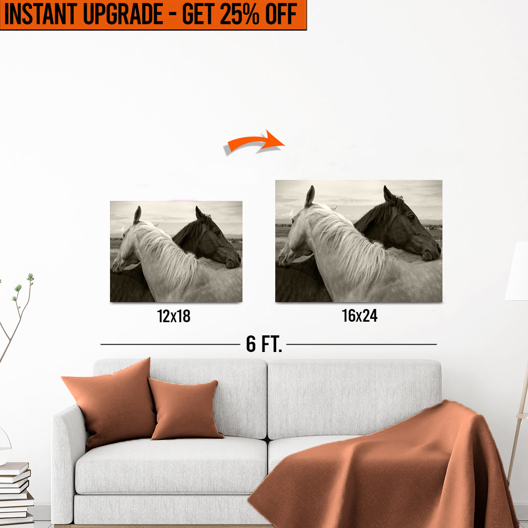 Upgrade Your 12x18 Inches 'Monochrome Couple Horse' Canvas to 16x24 Inches