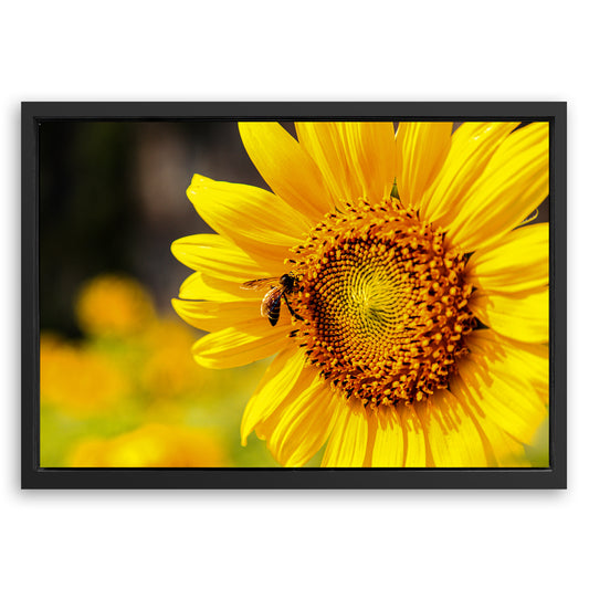 Save 33% When You Add A Frame To Your 36x24 Bee On Sunflower Wall Art Canvas Now