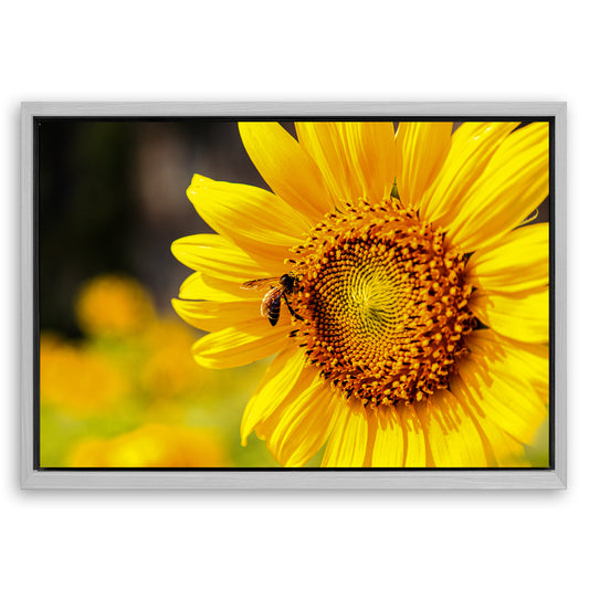 Save 33% When You Add A Frame To Your 36x24 Bee On Sunflower Wall Art Canvas Now
