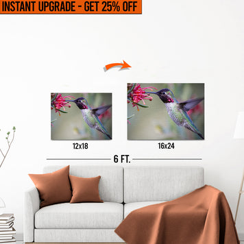 Upgrade Your 12x18 Inches 'Hummingbird Spring' Canvas to 16x24 Inches