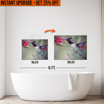 Upgrade Your 24x16 Inches 'Hummingbird Spring' Canvas To 36x24 Inches