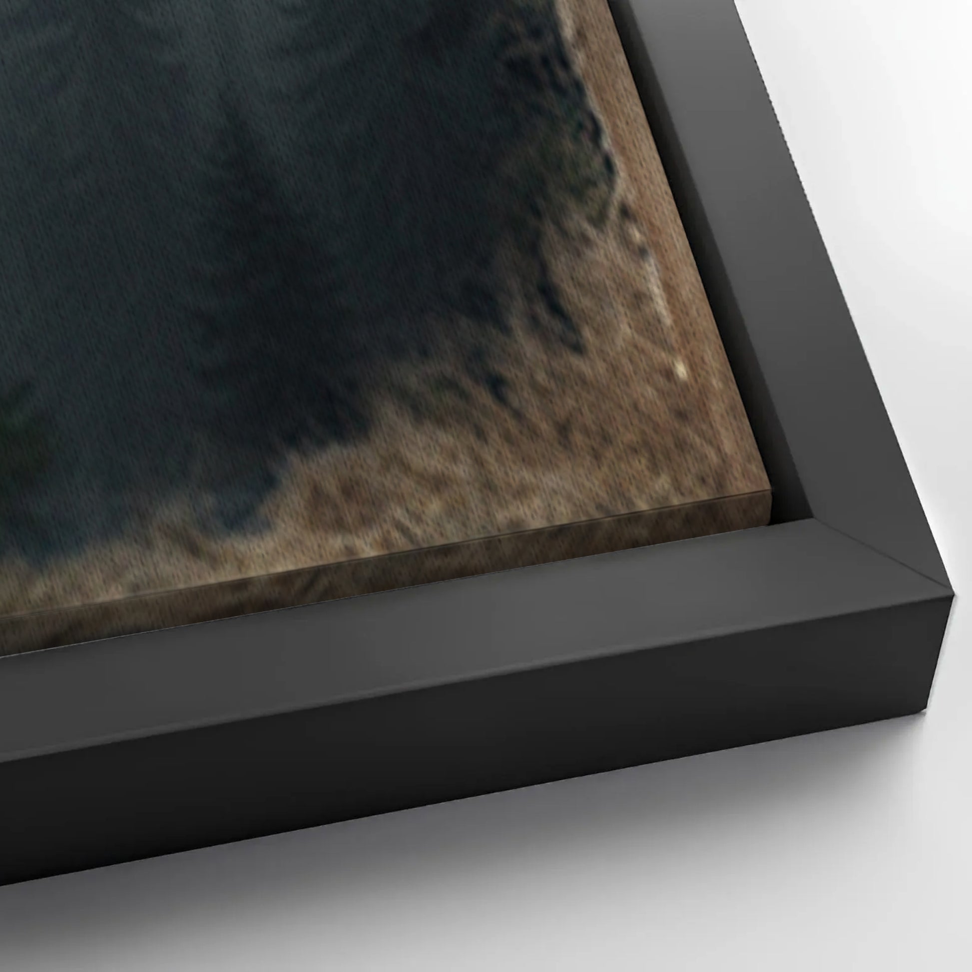 Save 33% When You Add A Frame To Your 24x16 Black Bear Exposure Canvas Now