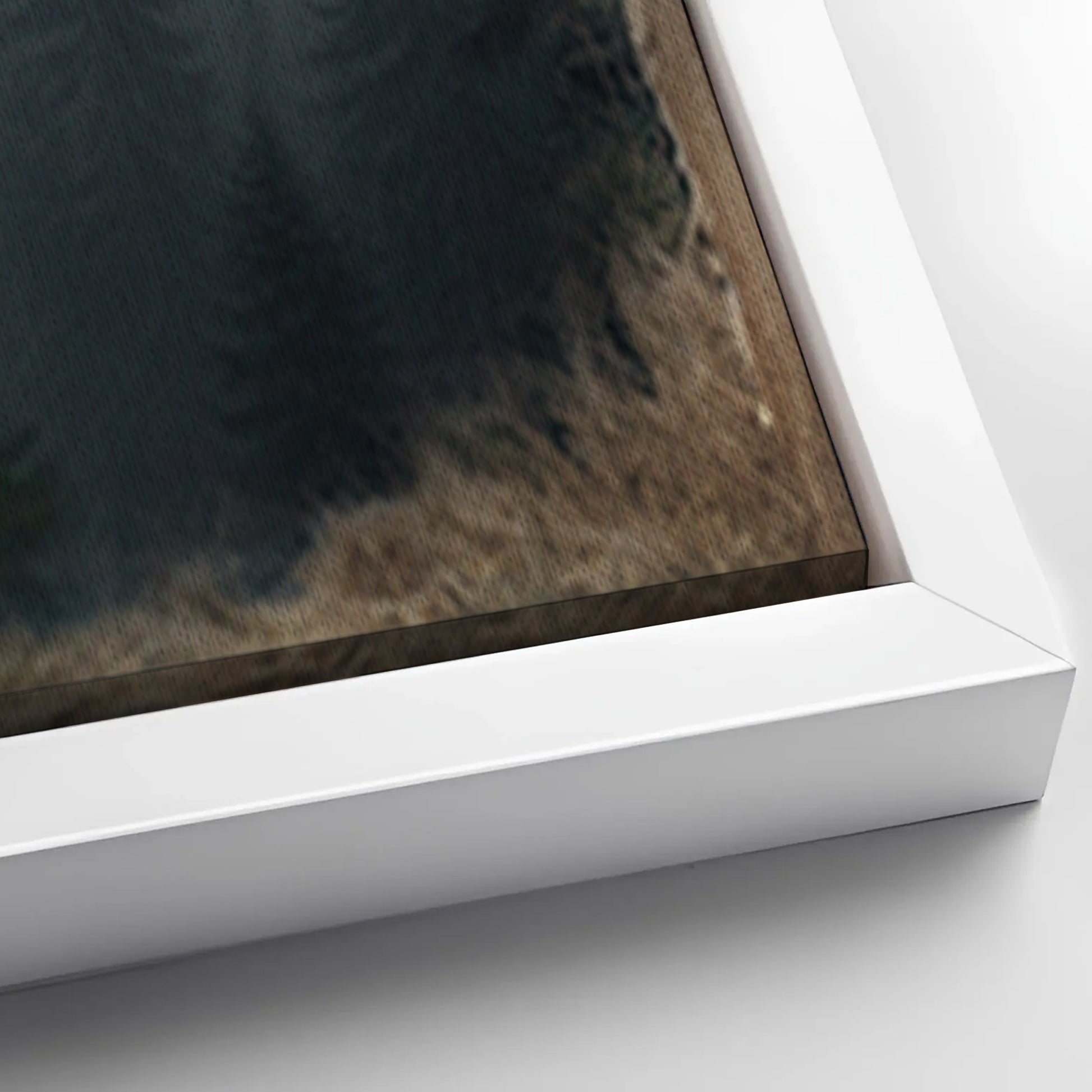 Save 33% When You Add A Frame To Your 24x16 Black Bear Exposure Canvas Now