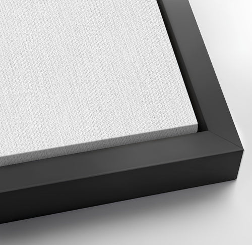 Save 33% When You Add A Frame To Your Canvases Now (theme 34 test)