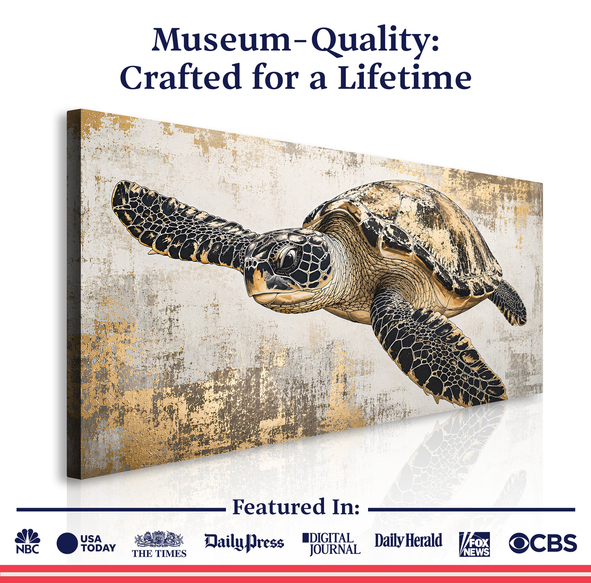 Coastal Drift Turtle