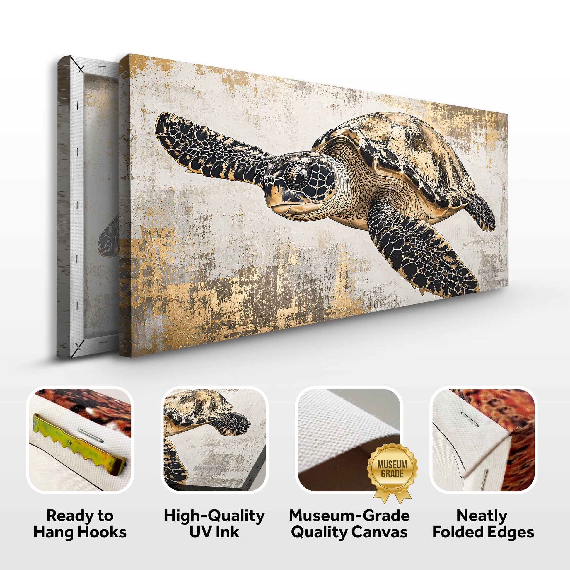 Coastal Drift Turtle