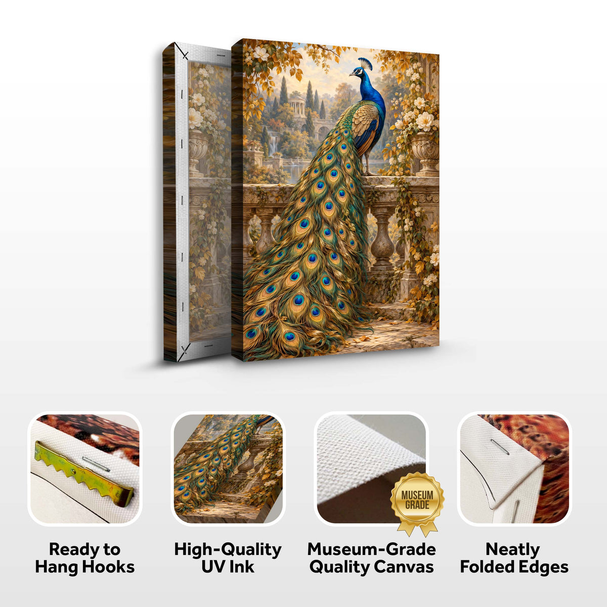 Elegant Peacock