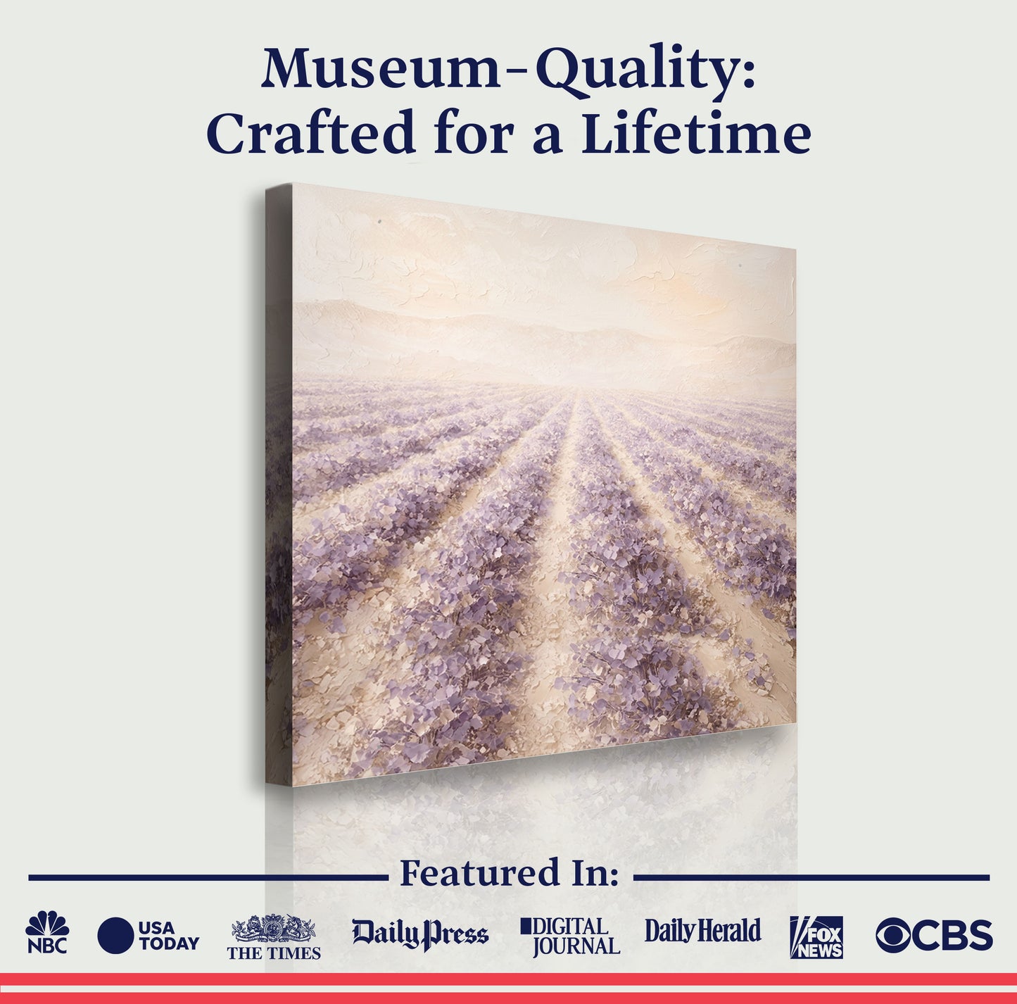 Lavender Field — Rows Of Purple On Cream