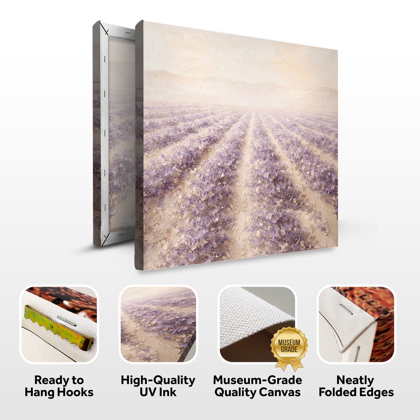 Lavender Field — Rows Of Purple On Cream