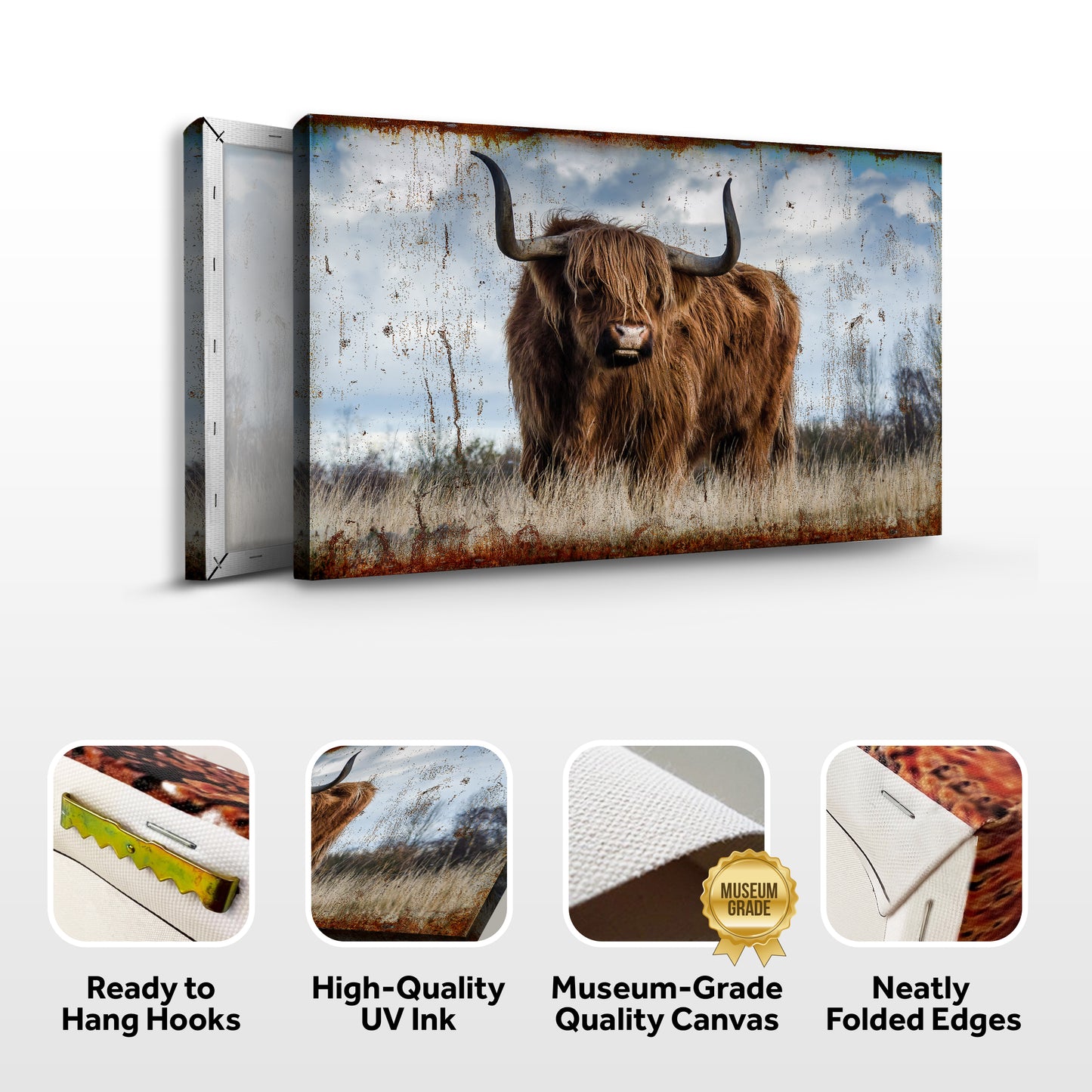 Classic Highland Cattle Canvas Wall Art