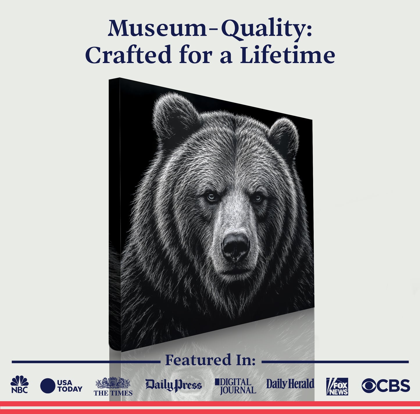 Noir Bear