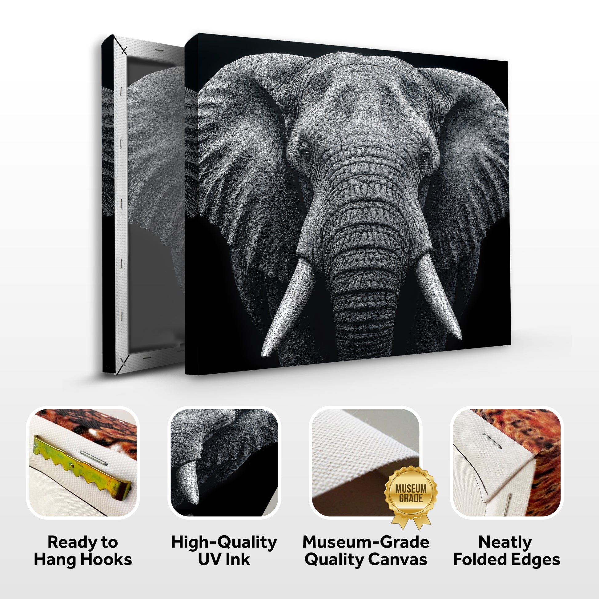 Noir Elephant