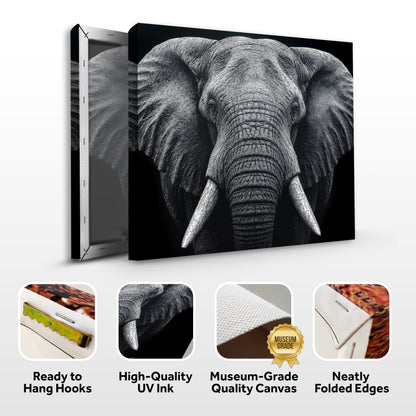 Noir Elephant