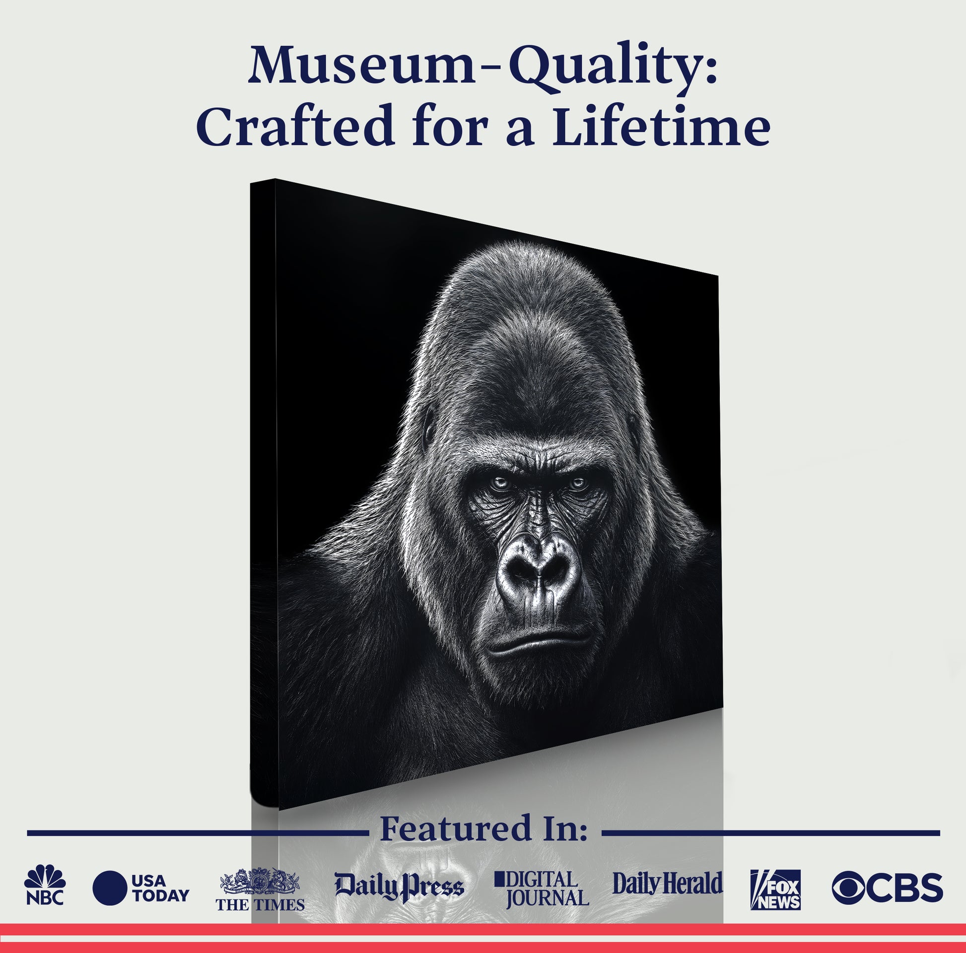 Noir Gorilla