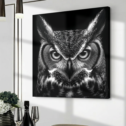 Noir Owl