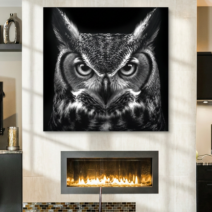 Noir Owl