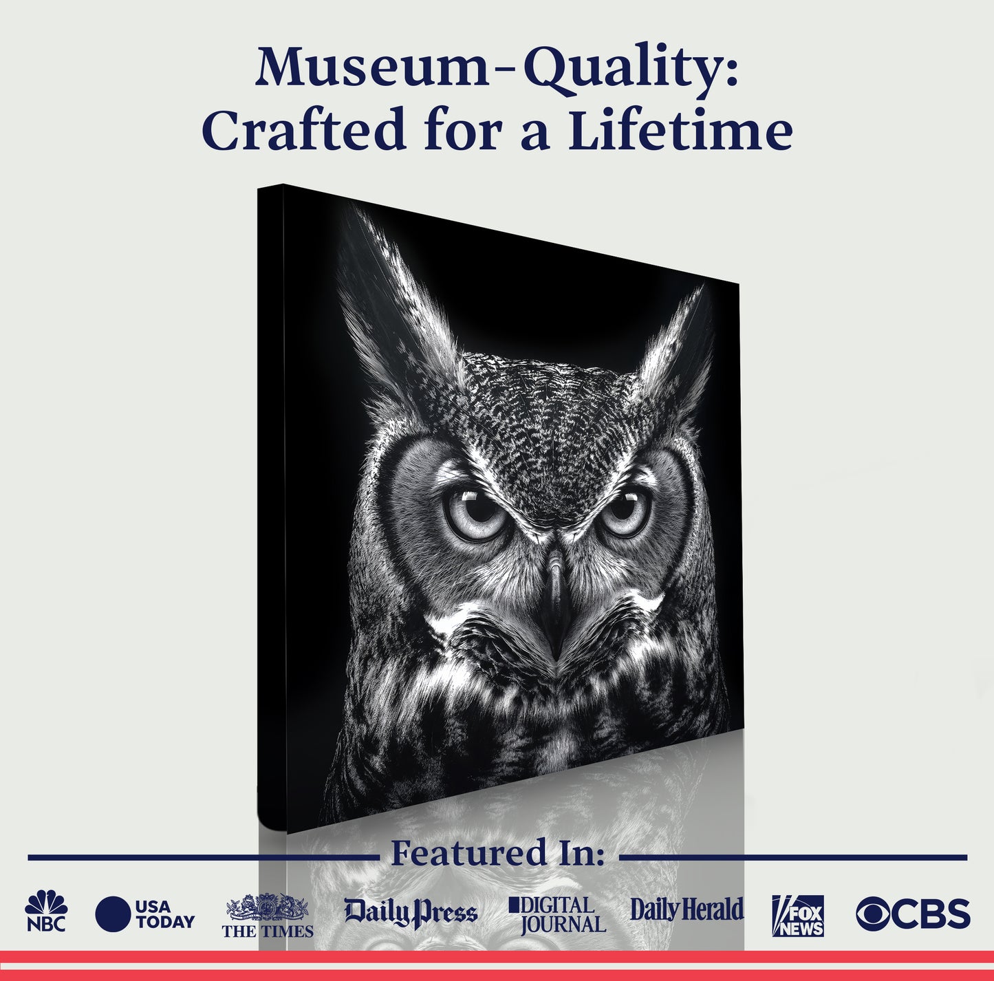 Noir Owl