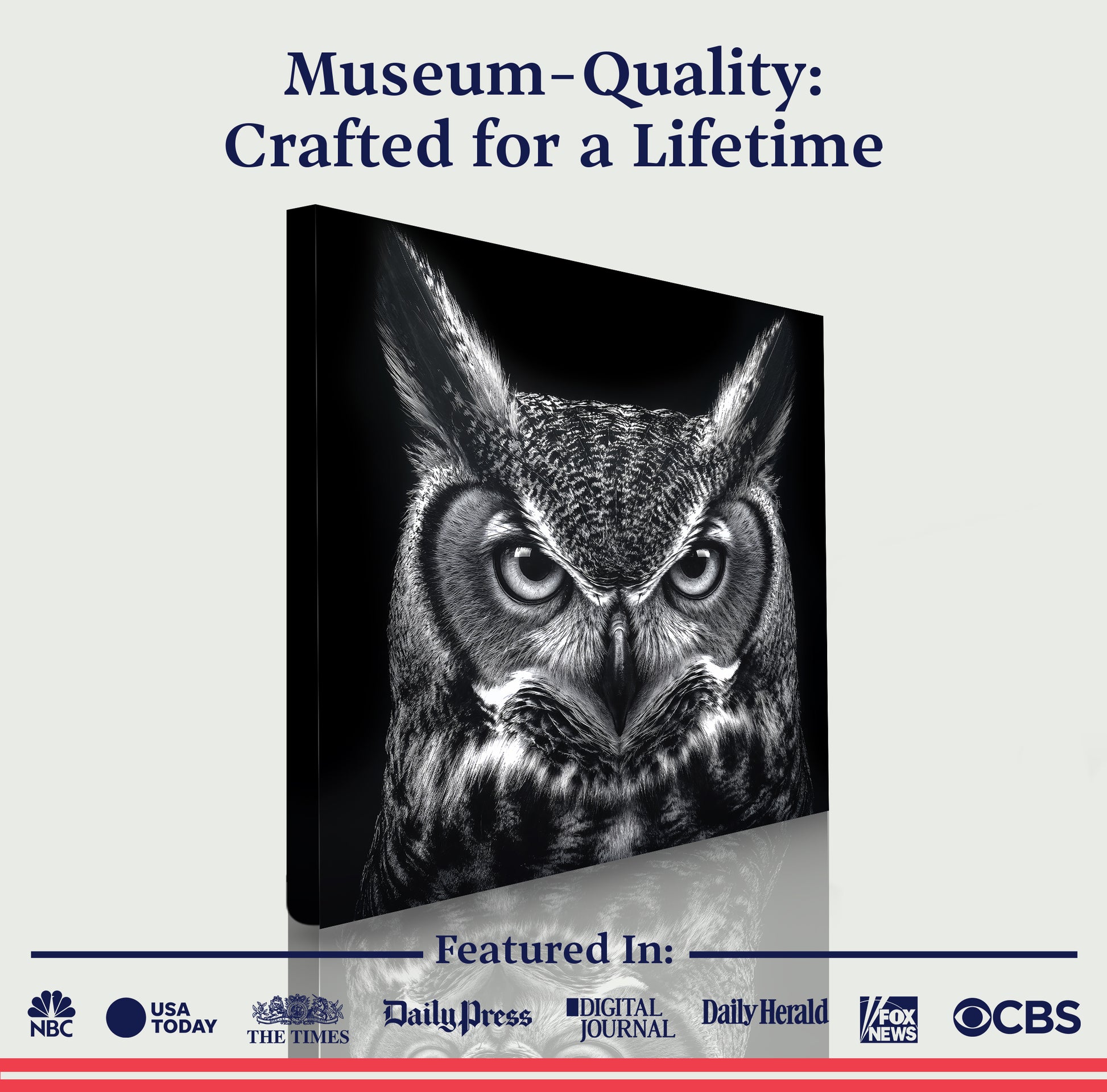 Noir Owl