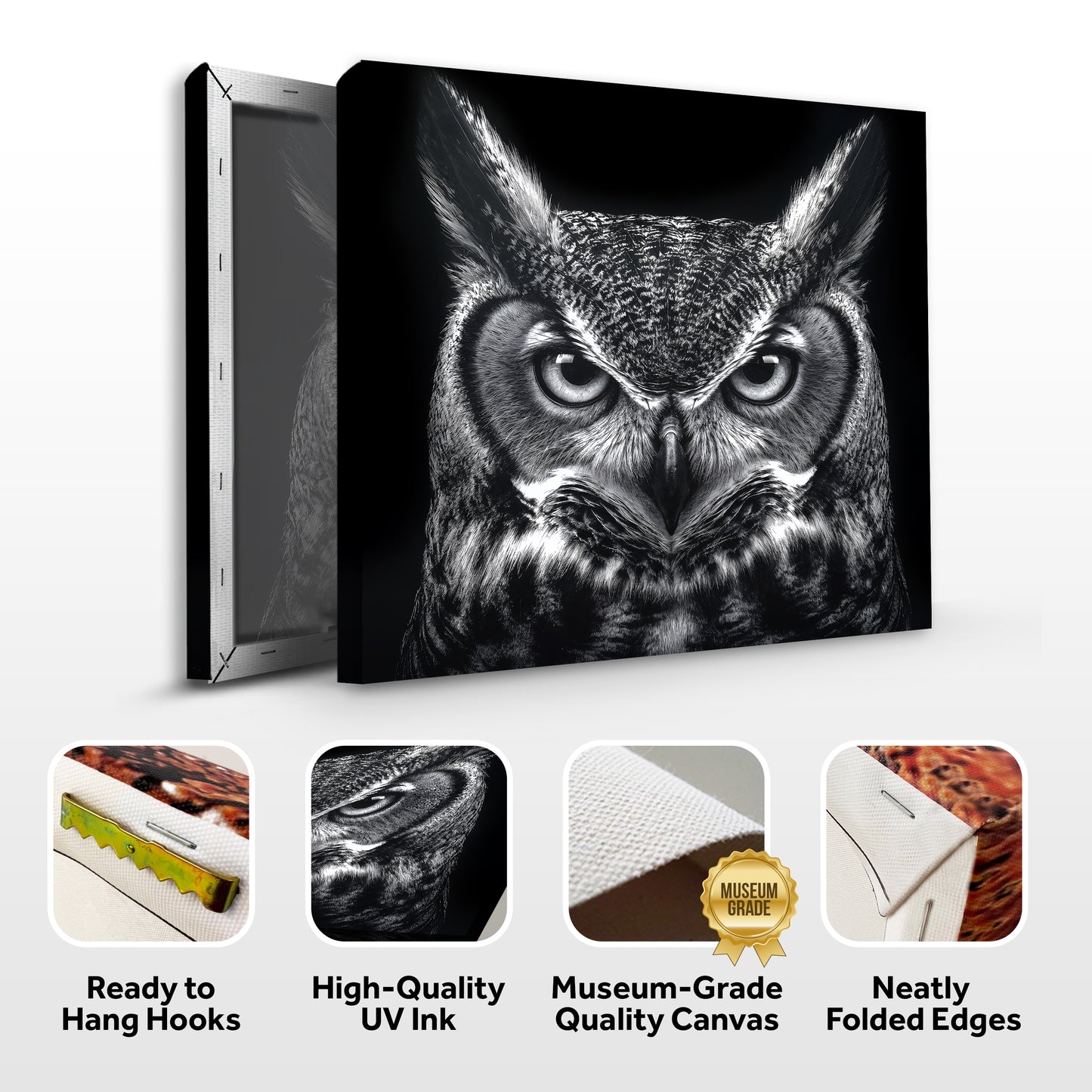 Noir Owl