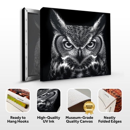 Noir Owl