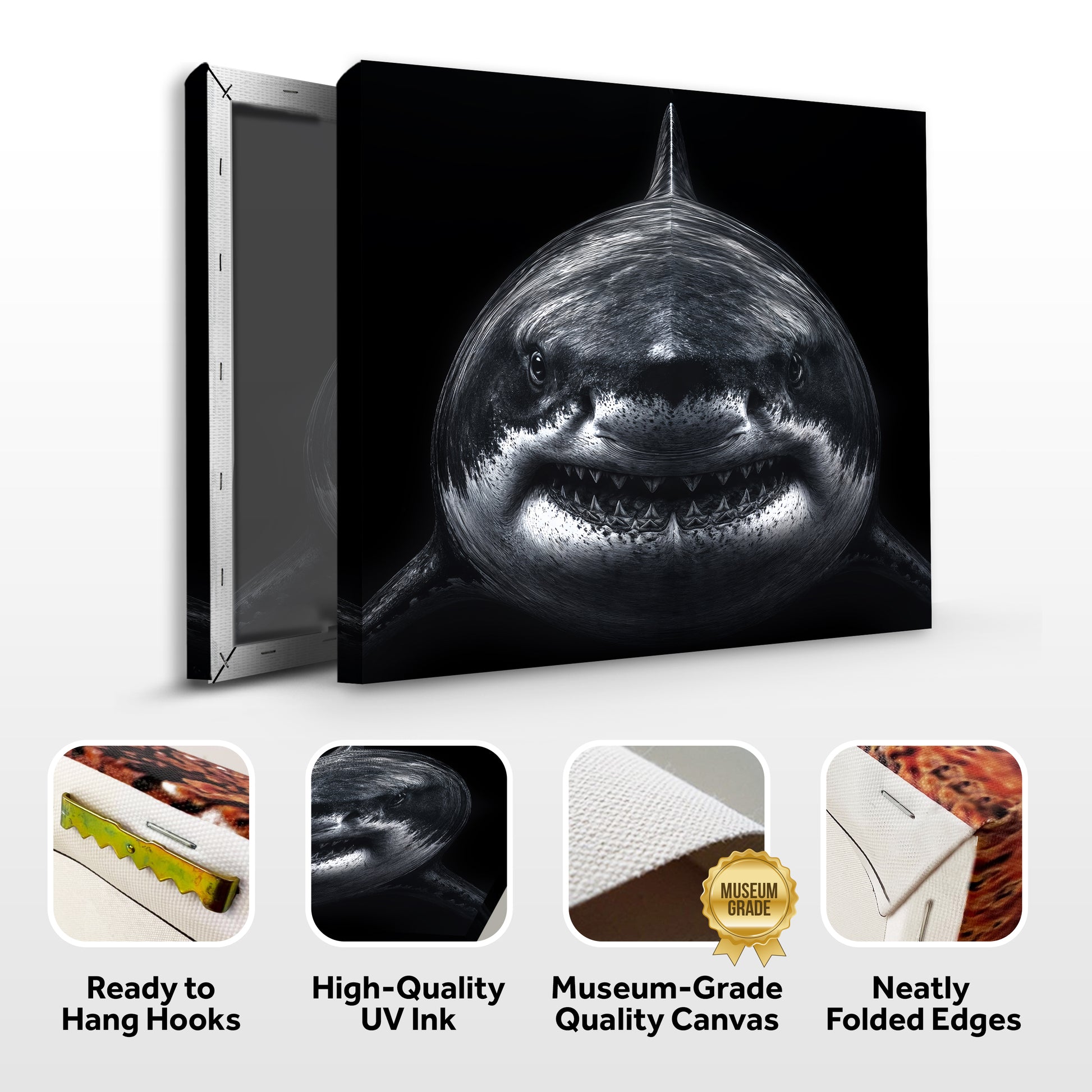 Noir Shark