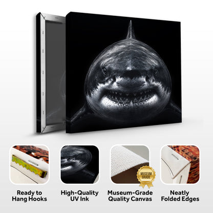 Noir Shark