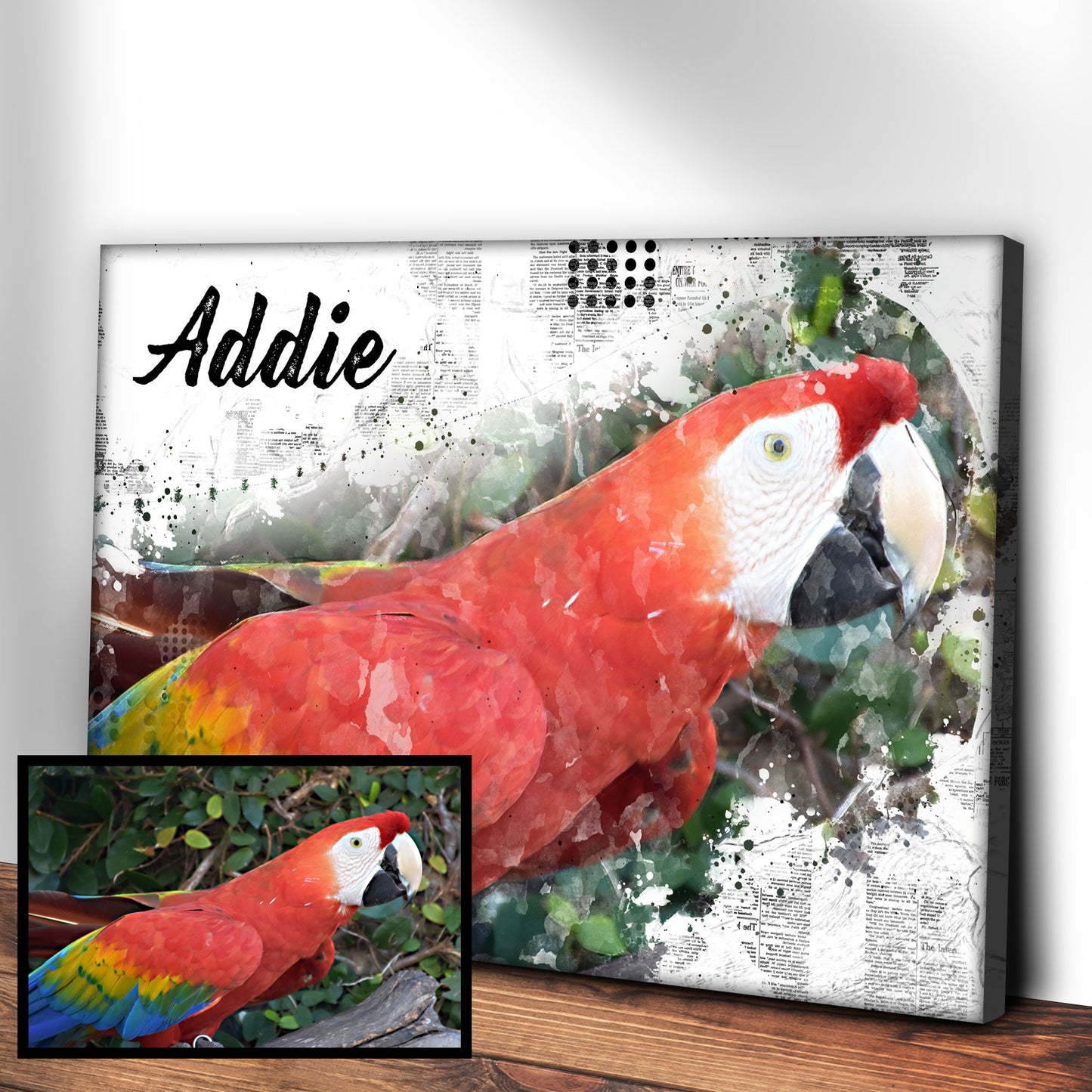 Parrot Editorial Media Sign - Image by Tailored Canvases