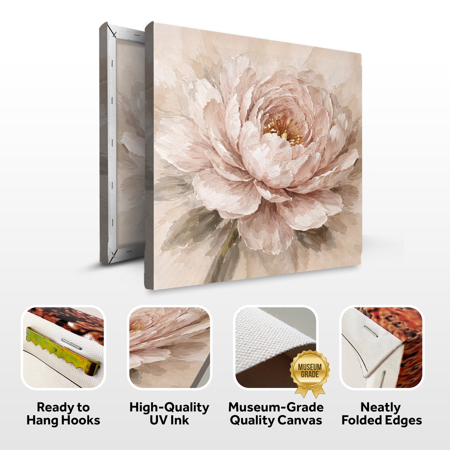 Peony Close-Up — Single Bloom