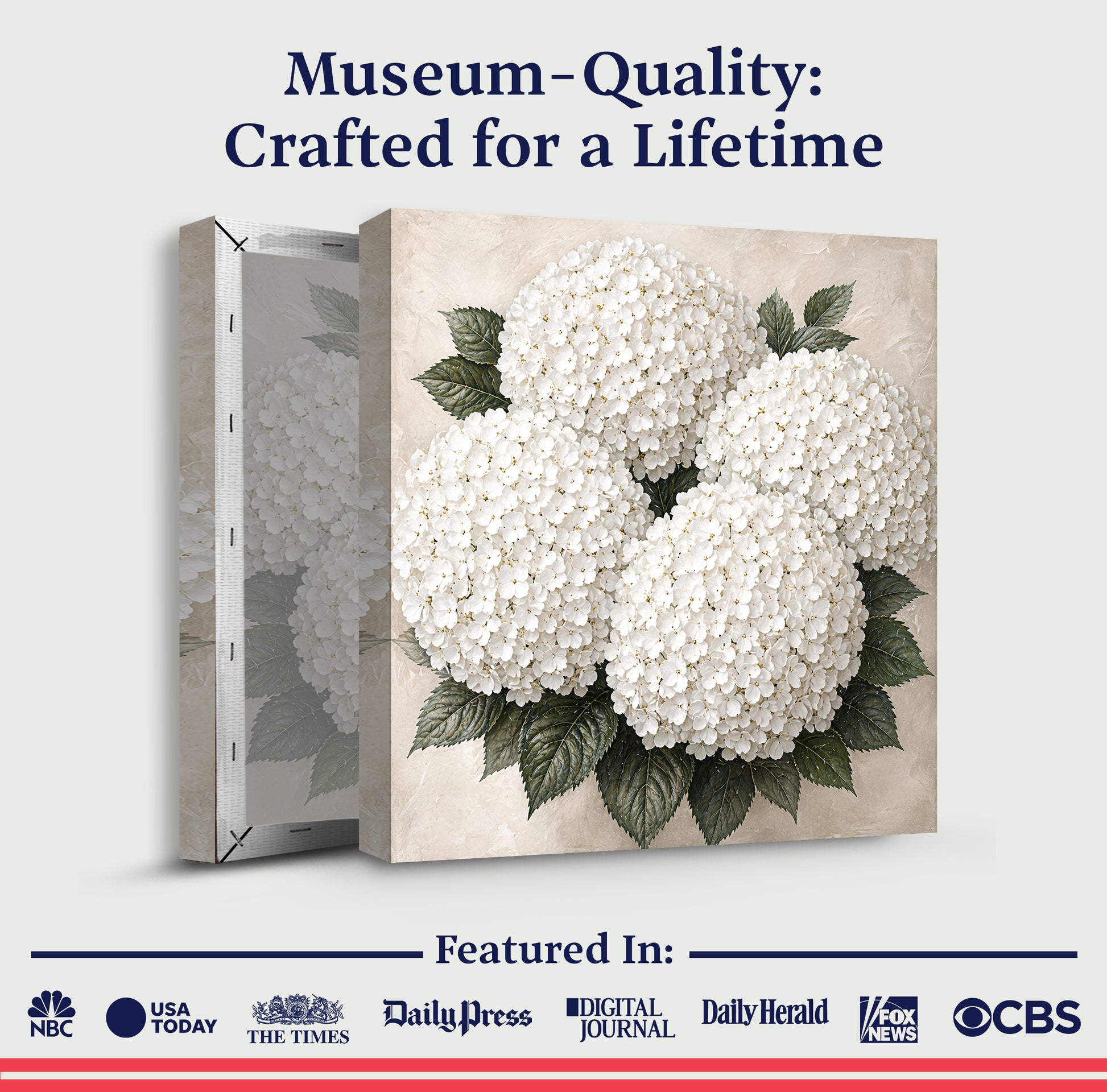 White Hydrangea Cloud