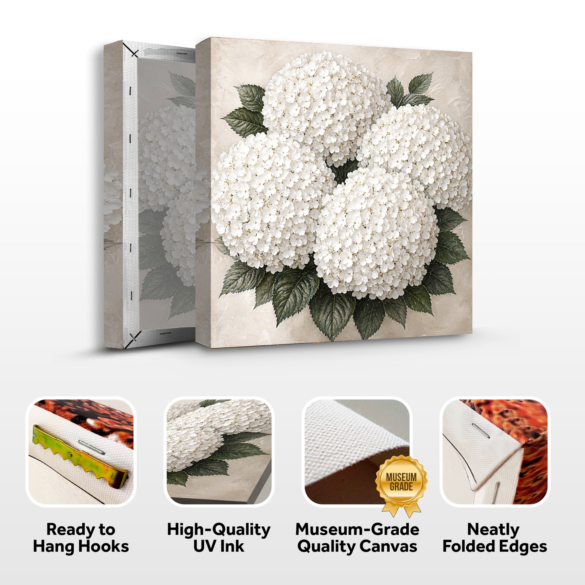 White Hydrangea Cloud