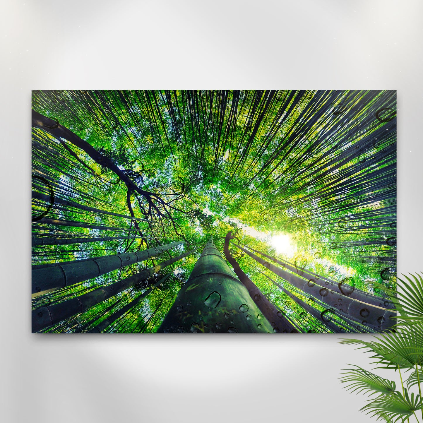 Light Through Bamboo Forest Canvas Wall Art - Image by Tailored Canvases