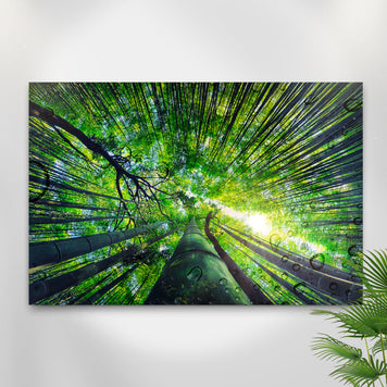 Light Through Bamboo Forest Canvas Wall Art