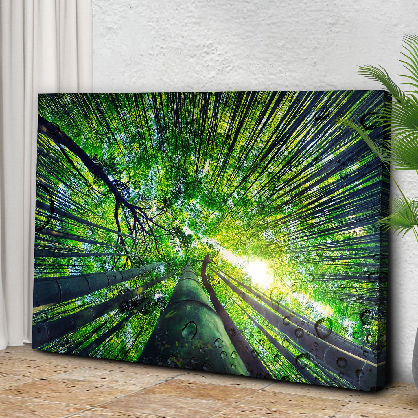 Light Through Bamboo Forest Canvas Wall Art Style 1 - Image by Tailored Canvases