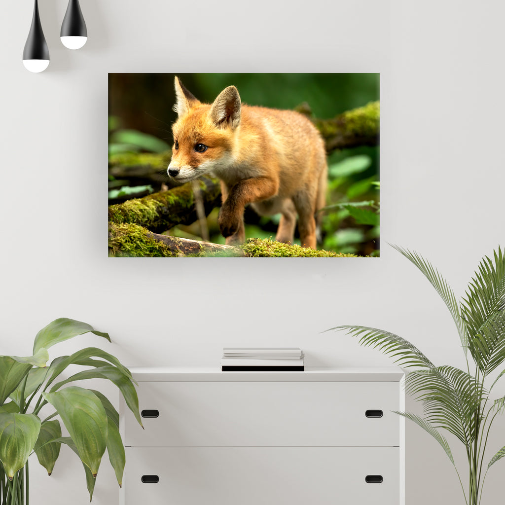 Animals Forest Fox Charming Canvas Wall Art by Tailored Canvases