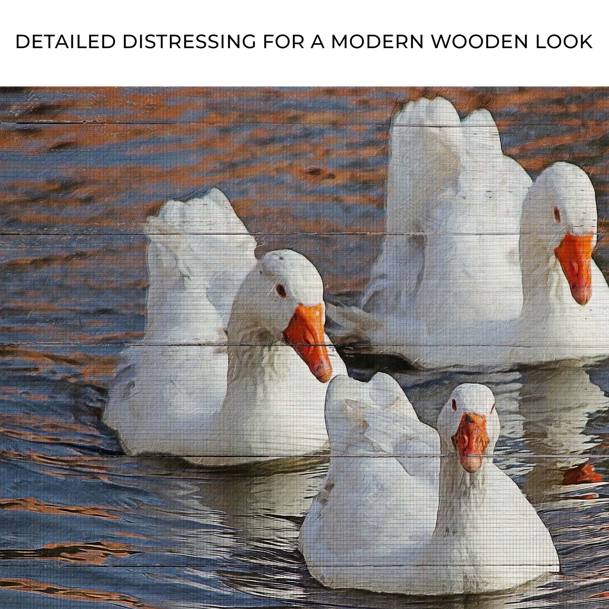 Three White Geese Canvas Wall Art Zoom - Image by Tailored Canvases