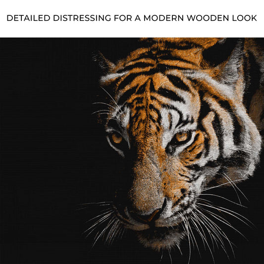 Tiger Watching In The Dark Canvas Wall Art Zoom - Image by Tailored Canvases