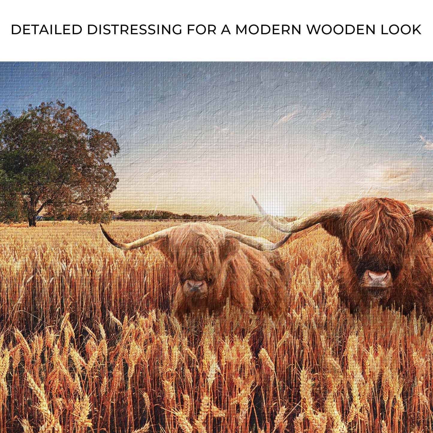 Highland Cow In Wheatfield Canvas Wall Art Zoom - Image by Tailored Canvases