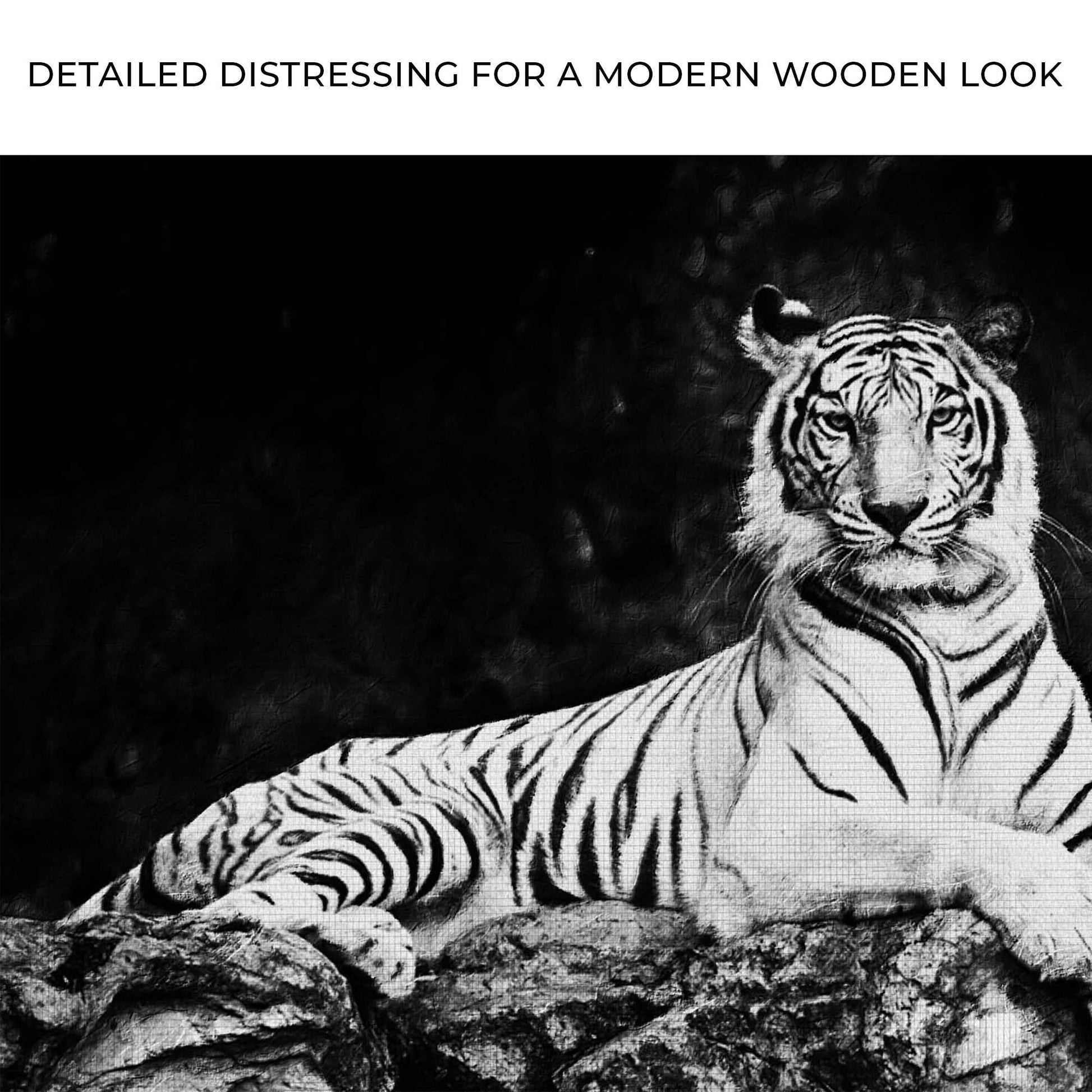 Monochrome Sitting Tiger Canvas Wall Art Zoom - Image by Tailored Canvases